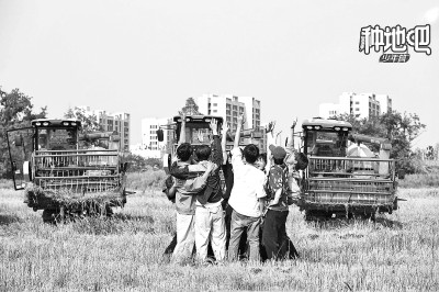 股票杠杆平台app 乡村综艺节目：拂去悬浮之尘 回归生活本真